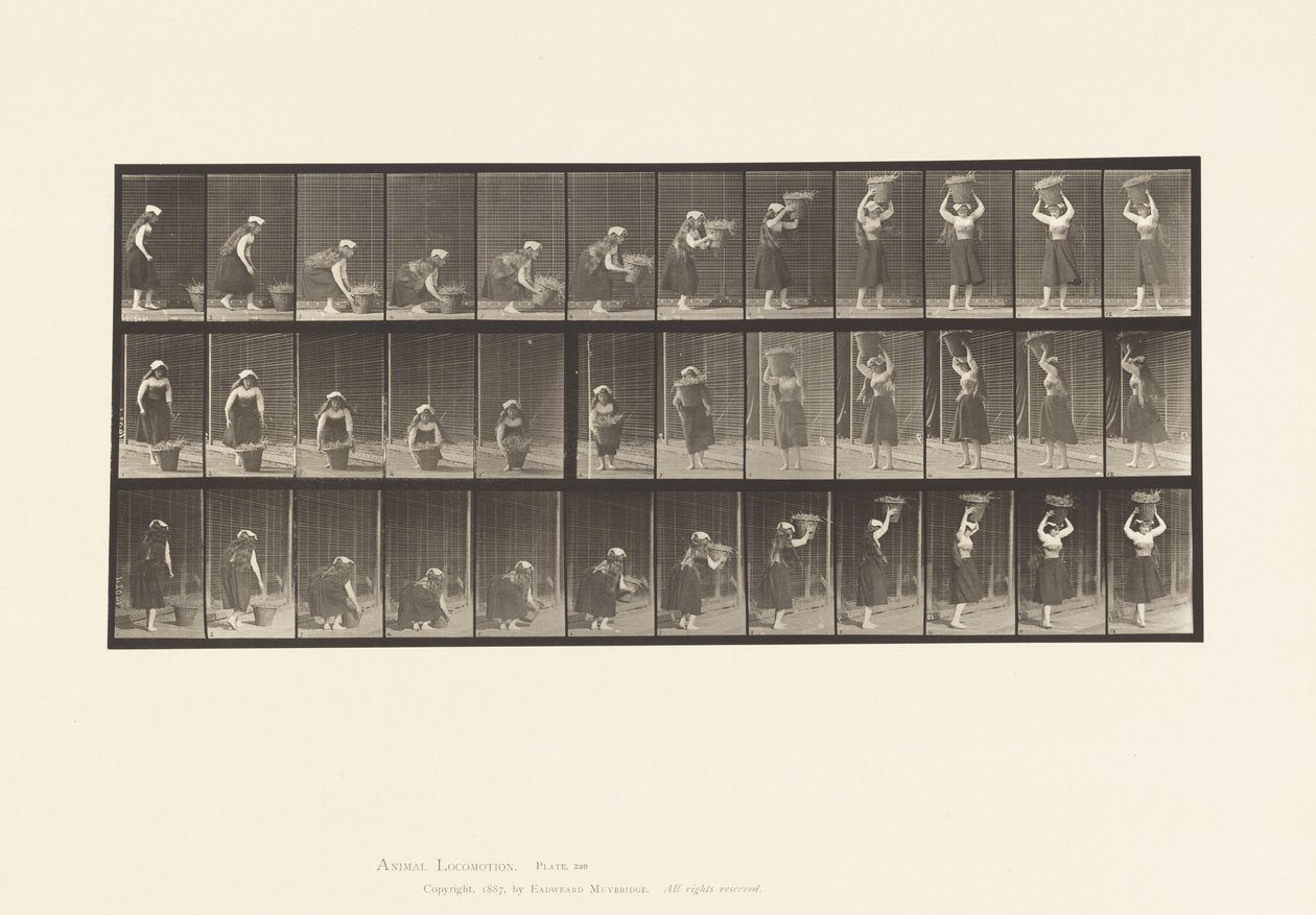 Plaat 230. 30 lb mand van grond naar hoofd tillen, draaien, 1885 door Eadweard Muybridge