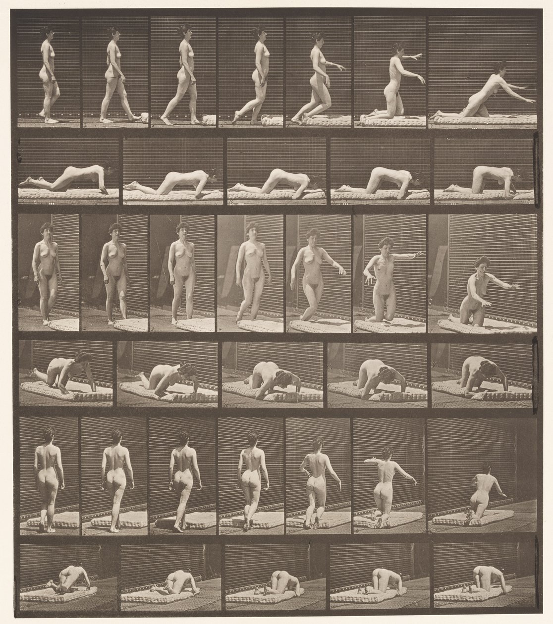 Plaat 272. Struikelen en Vallen op de Grond door Eadweard Muybridge