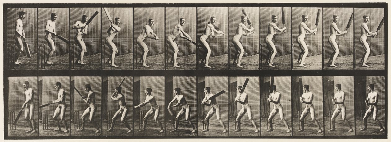 Plaat 293. Cricket; Slaan; Achterwaartse slag, 1885 door Eadweard Muybridge
