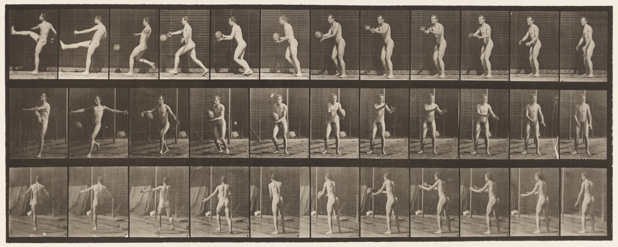Plaat 301. Voetbal; Punt, 1885 door Eadweard Muybridge