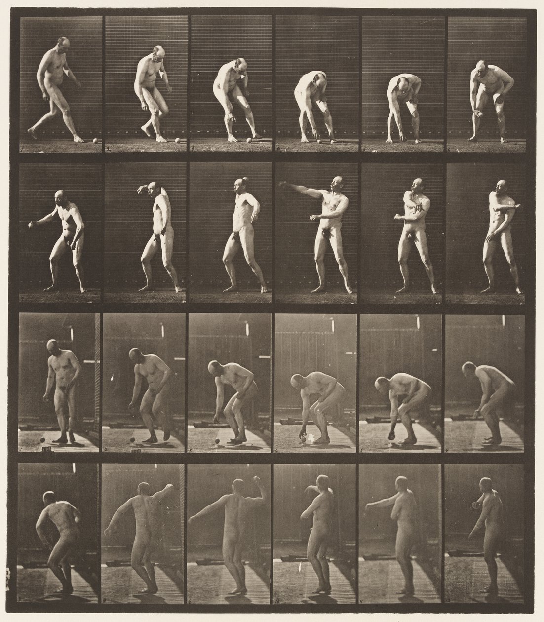 Plaat 302. Een bal oppakken en gooien, 1885 door Eadweard Muybridge