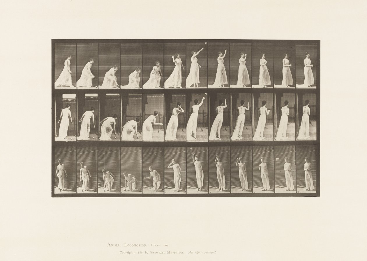 Een bal oppakken en gooien door Eadweard Muybridge