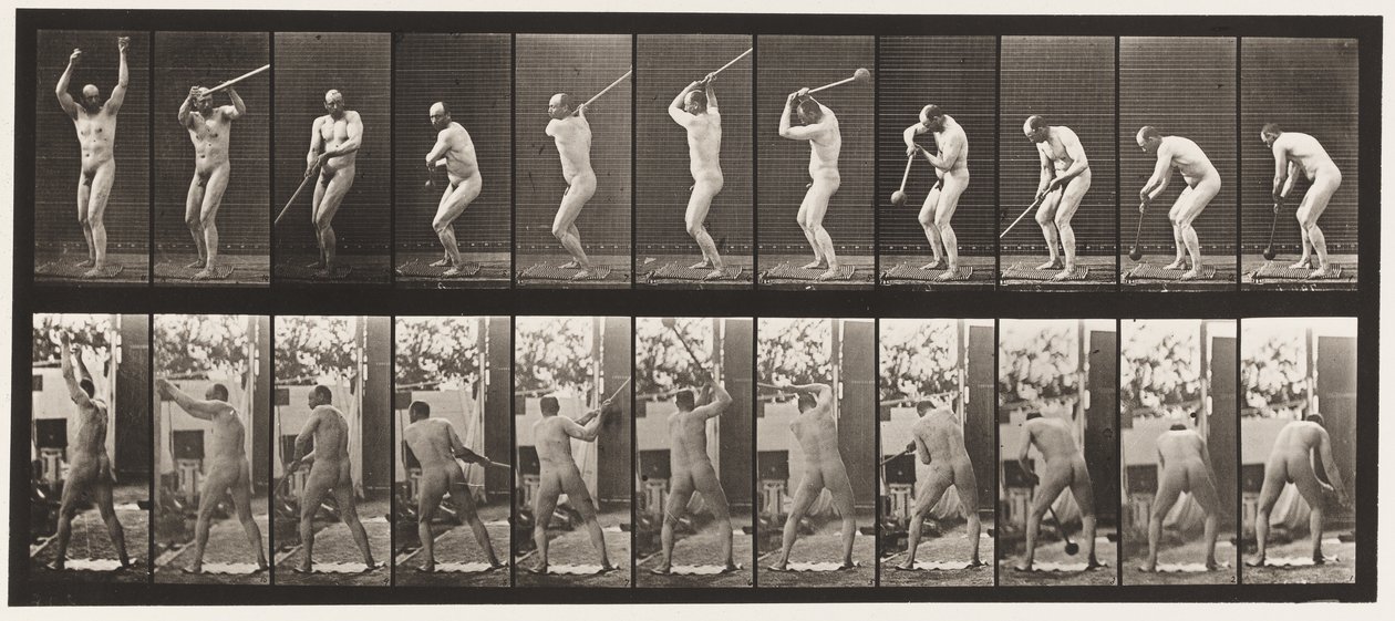 Plaat 308. De hamer werpen, 1885 door Eadweard Muybridge
