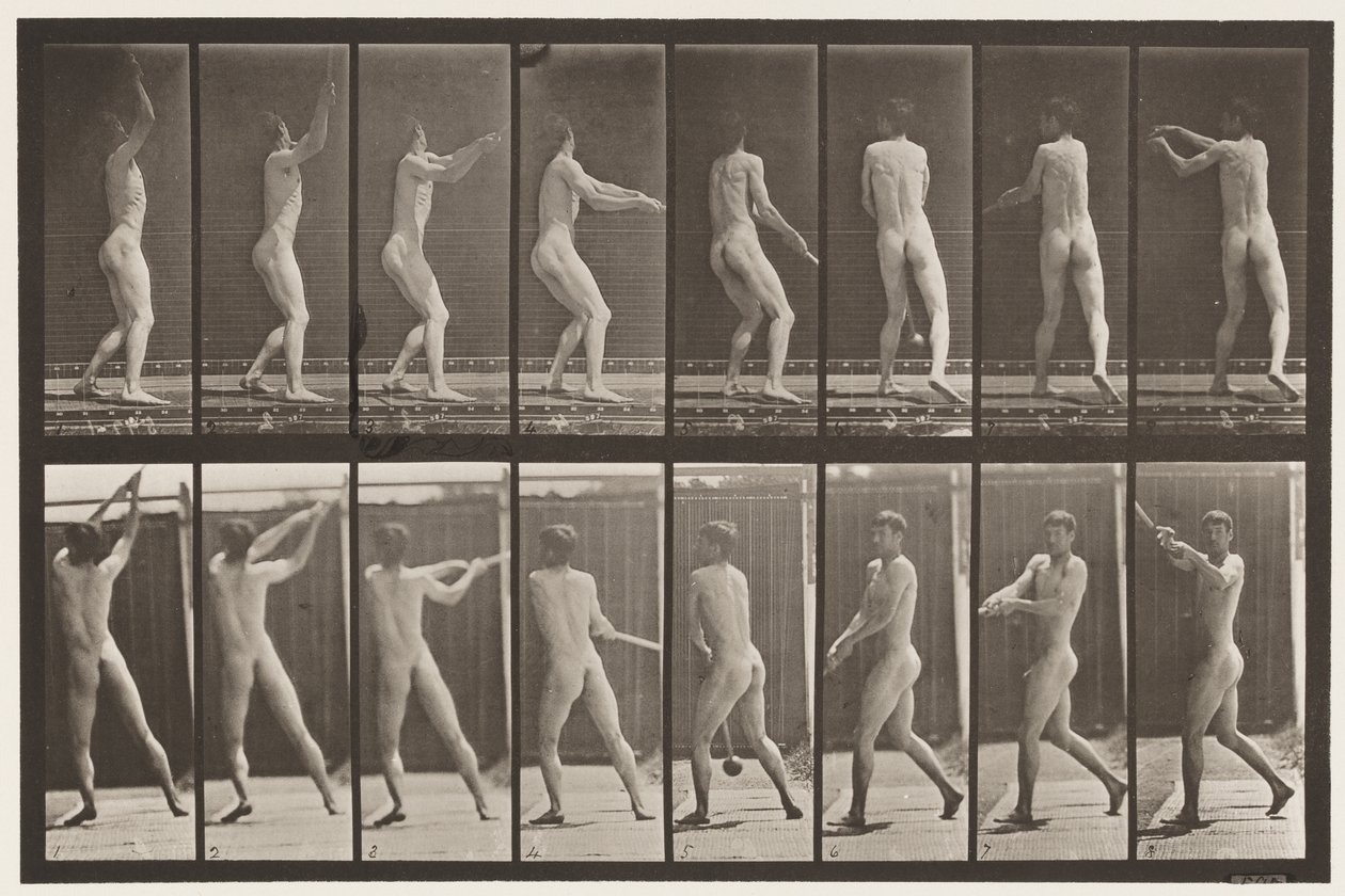 Plaat 309. De hamer werpen door Eadweard Muybridge
