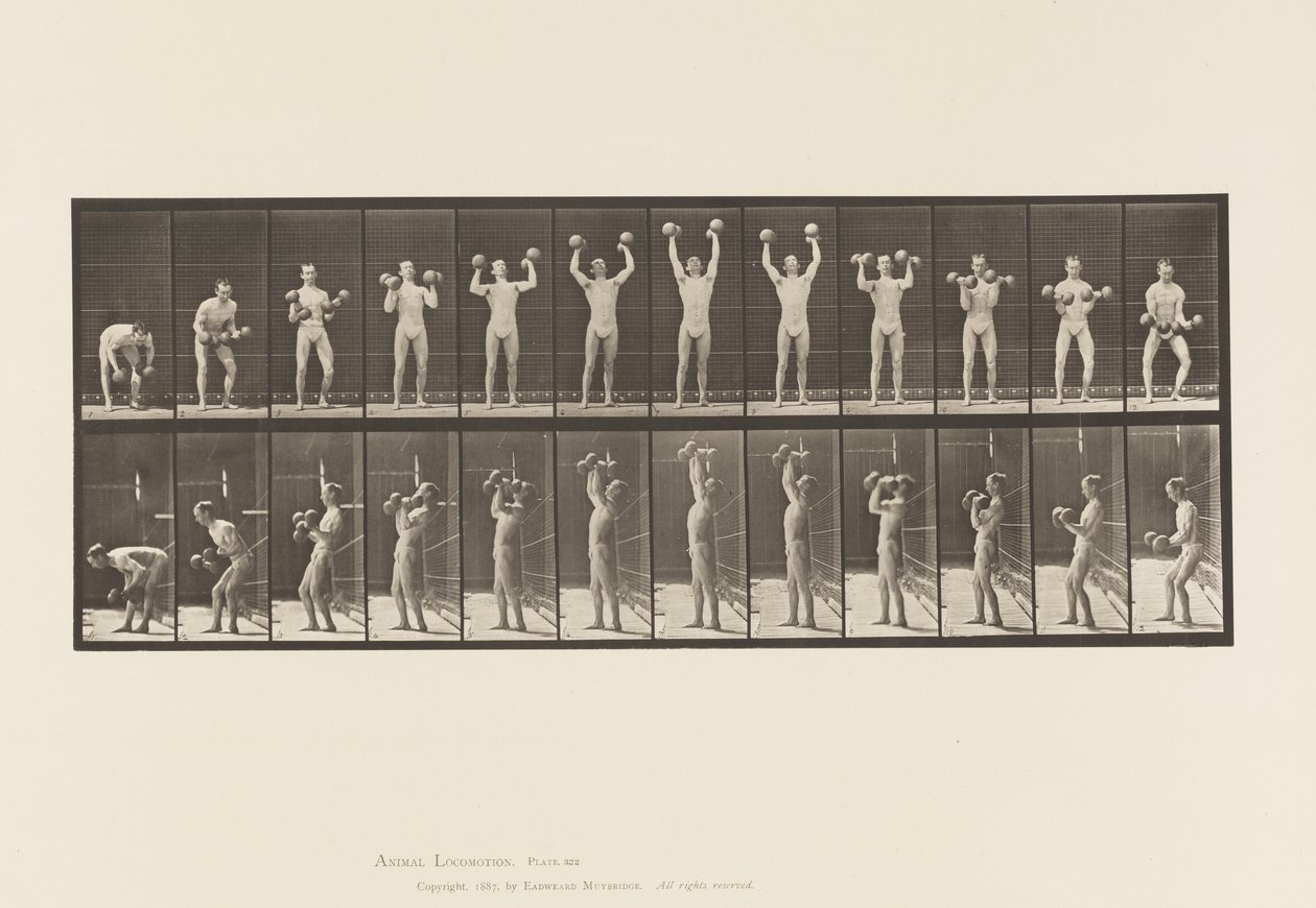 Plaat 322. Man met Halters door Eadweard Muybridge