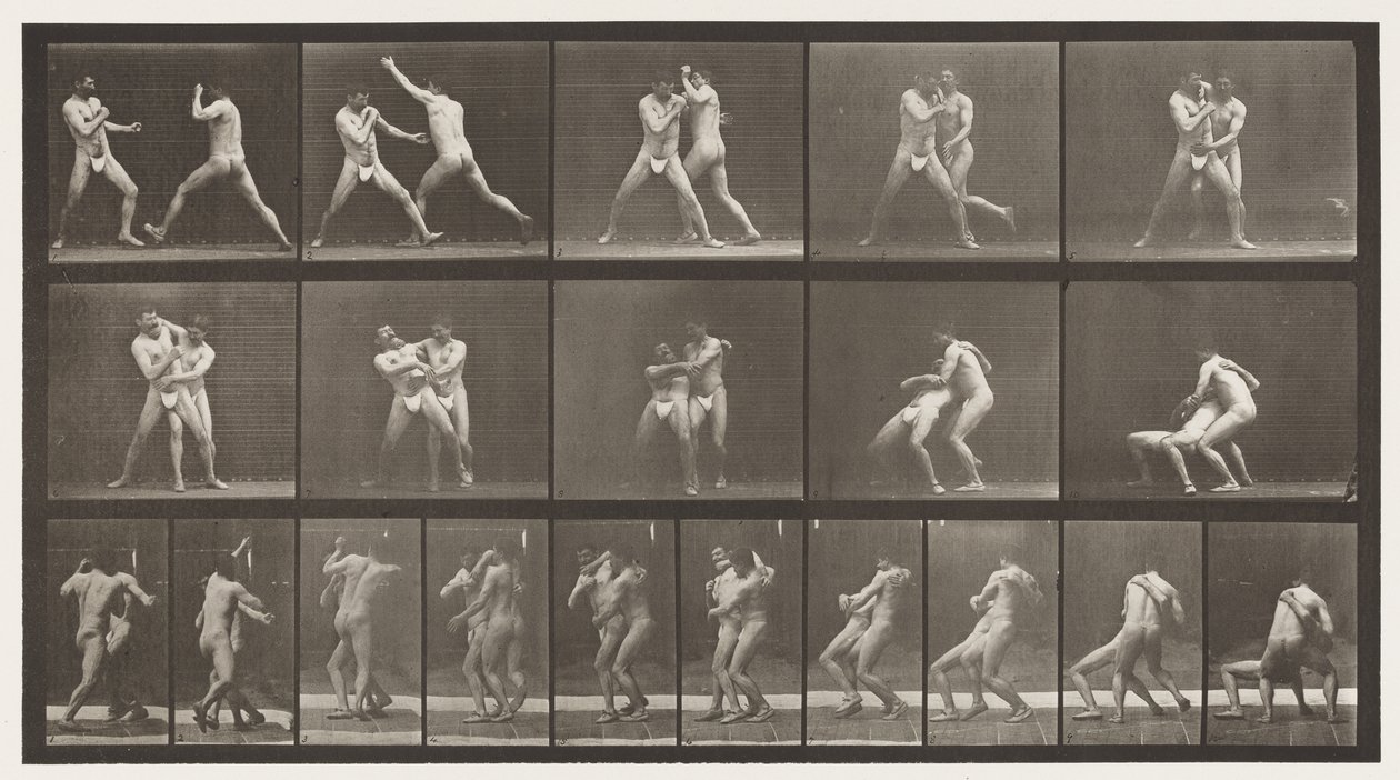 Boksen; Stop voor Kruis-Buttocks door Eadweard Muybridge