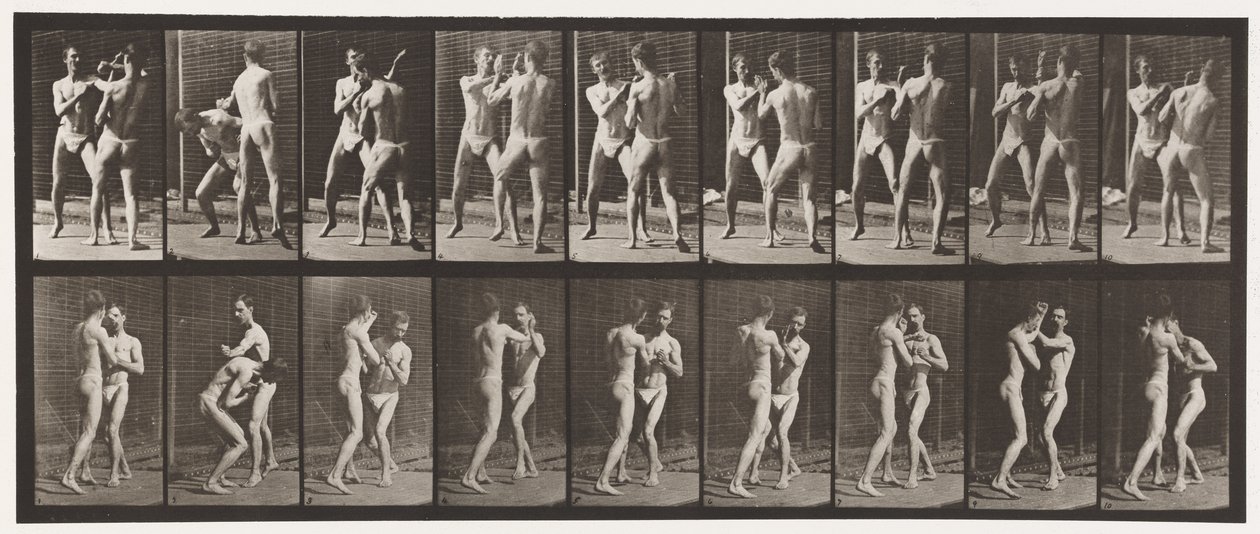 Boksen; Open Hand door Eadweard Muybridge