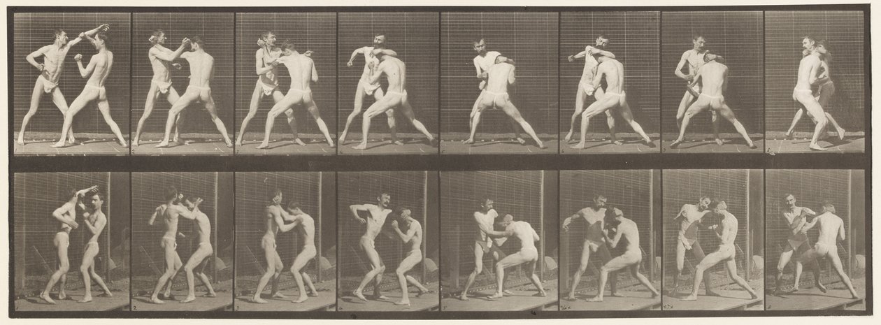 Boksen; Open Hand, 1872-1885 door Eadweard Muybridge