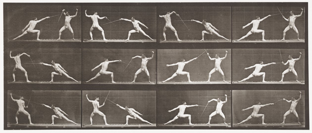 Schermen door Eadweard Muybridge