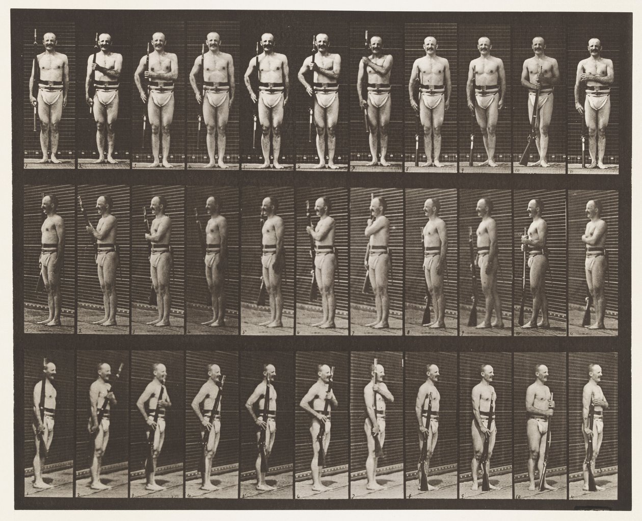 Plaat 354. Wapen Draag, Parade Rust, en Wapen Sleep door Eadweard Muybridge