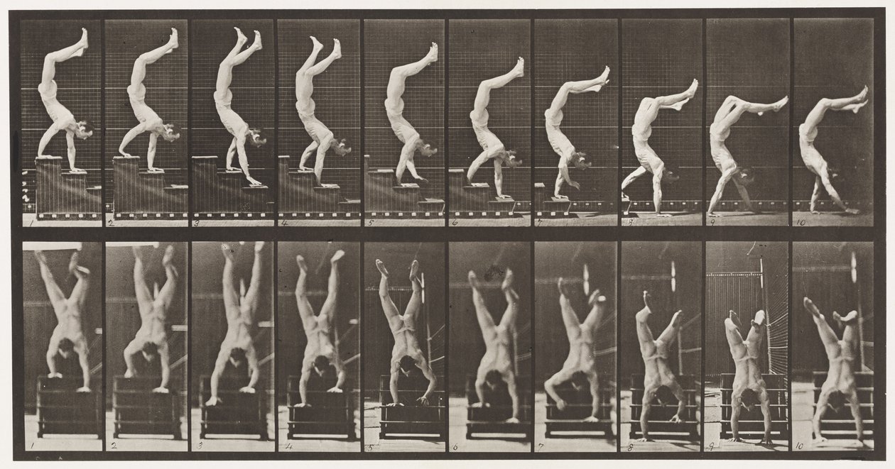 Plaat 368. Acrobat, trappen afdalen op handen door Eadweard Muybridge