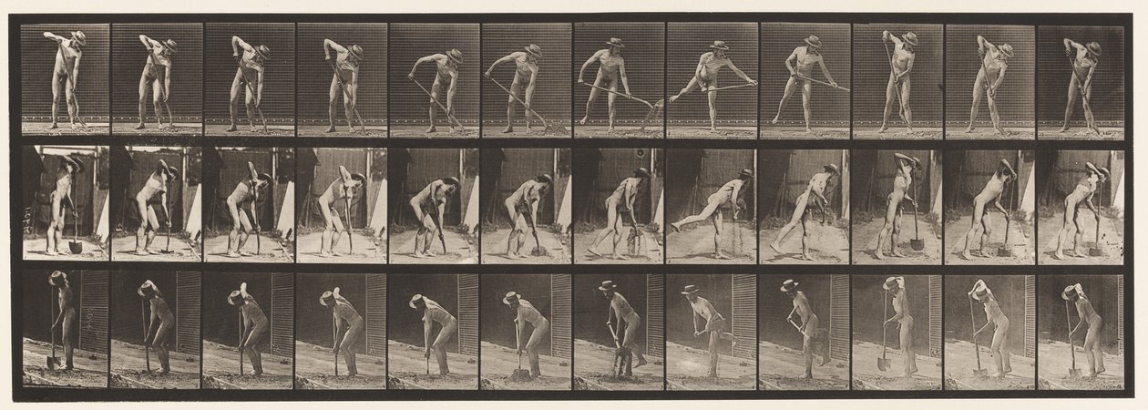 Plaat 387. Boer, Gebruikmakend van een Lange Steel Schep door Eadweard Muybridge