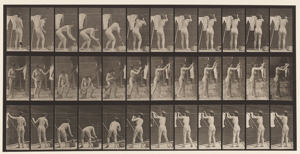 Plaat 434. Kleding aan de lijn hangen, 1872-1885 door Eadweard Muybridge