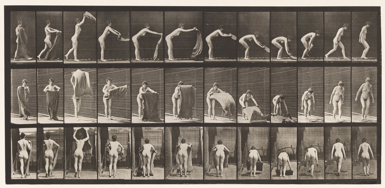 Een Tapijt op de Vloer Spreiden, 1872-1885 door Eadweard Muybridge