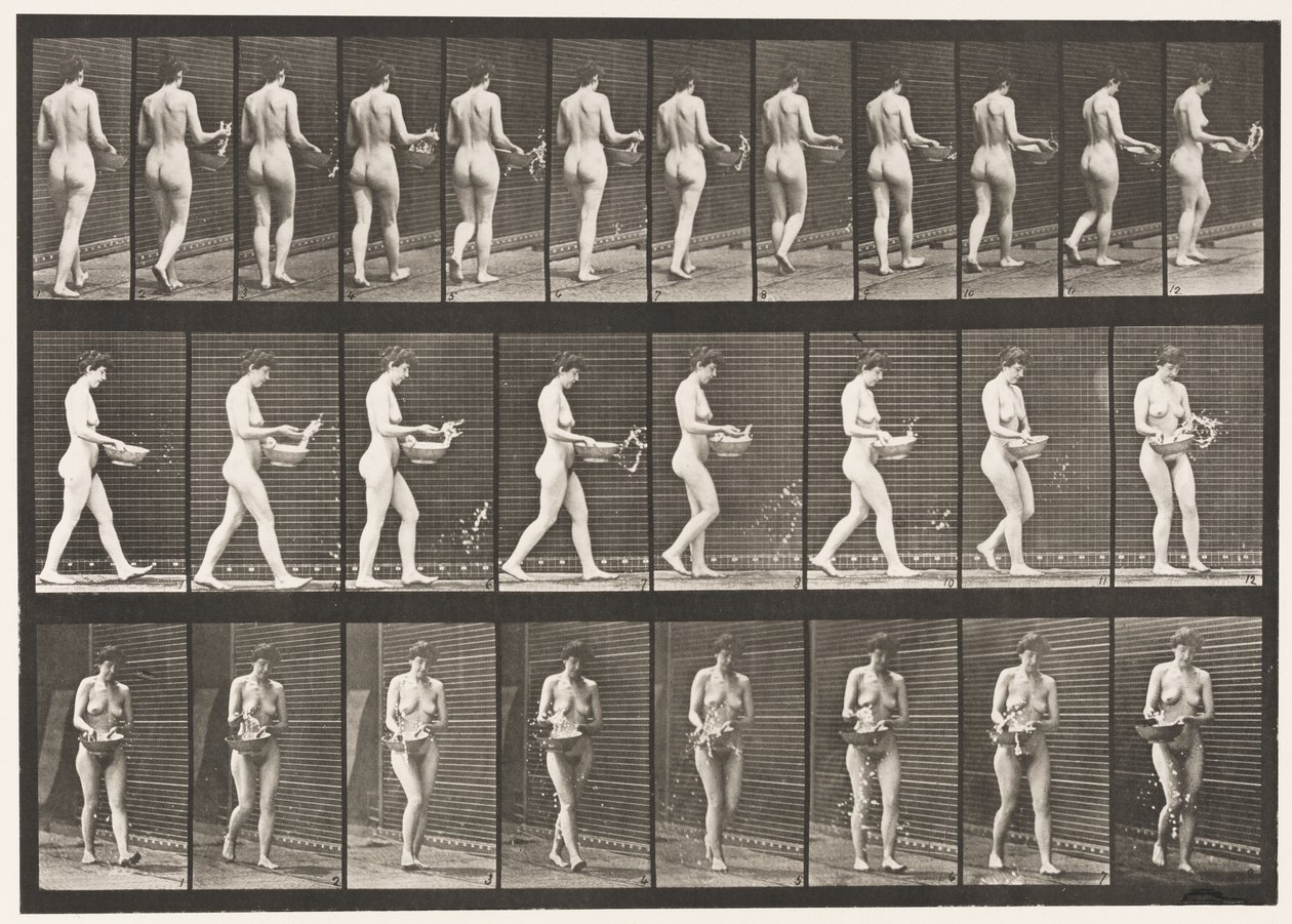 Plaat 43. Wandelen, water uit kom sprenkelen, omdraaien door Eadweard Muybridge