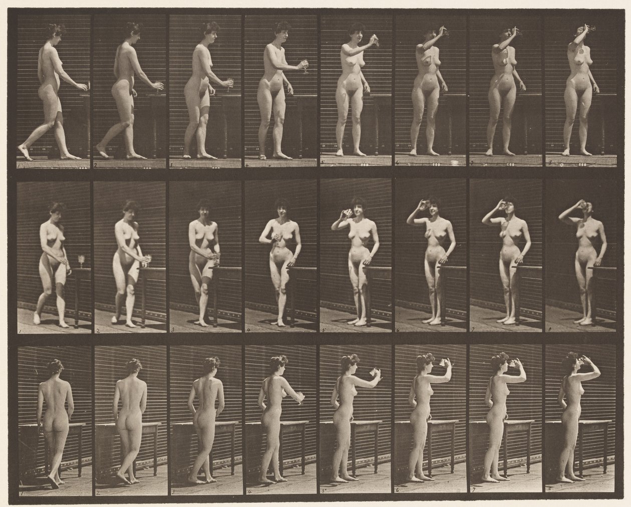 Plaat 443. Drinken uit een kelk terwijl je staat door Eadweard Muybridge