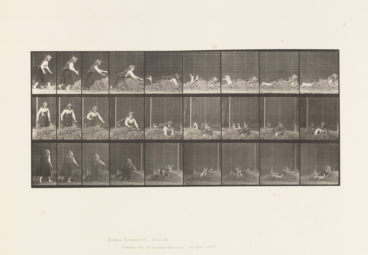 Plaat 455. Zichzelf op een Hoop Hooi Gooien door Eadweard Muybridge