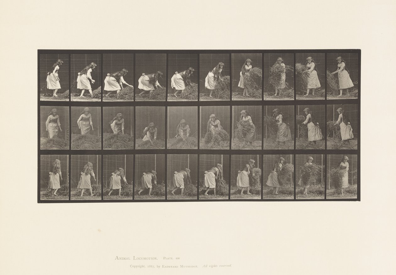 Plaat 458. Handvol Hooi Optillen, Draaien, Weggooien door Eadweard Muybridge