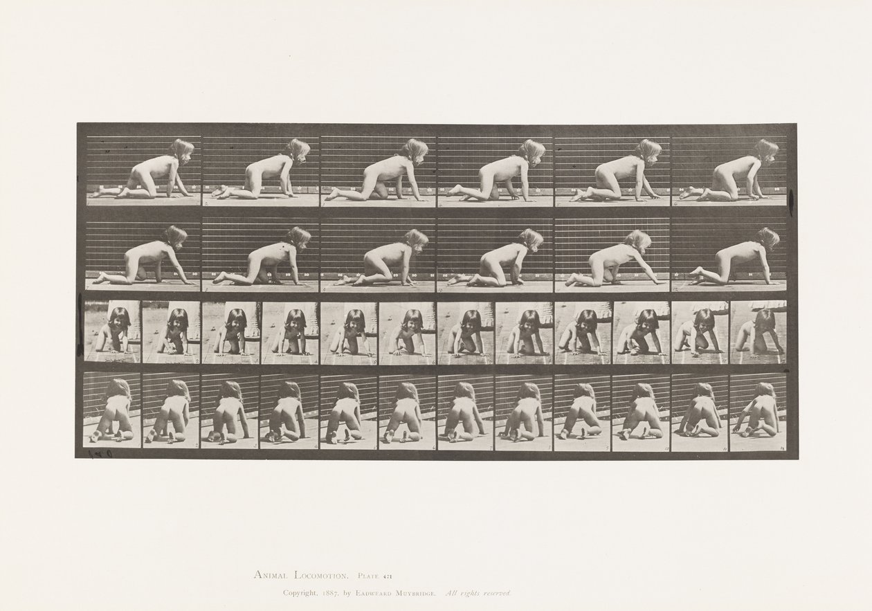 Plaat 471. Kind, kruipen op handen en knieën, 1885 door Eadweard Muybridge