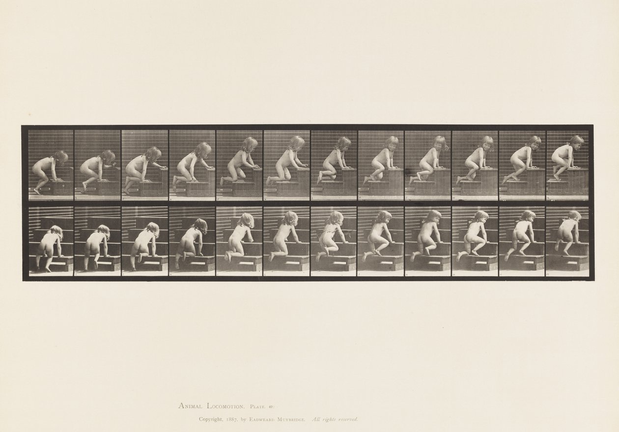 Plaat 472. Kind, kruipend de trap op, 1885 door Eadweard Muybridge