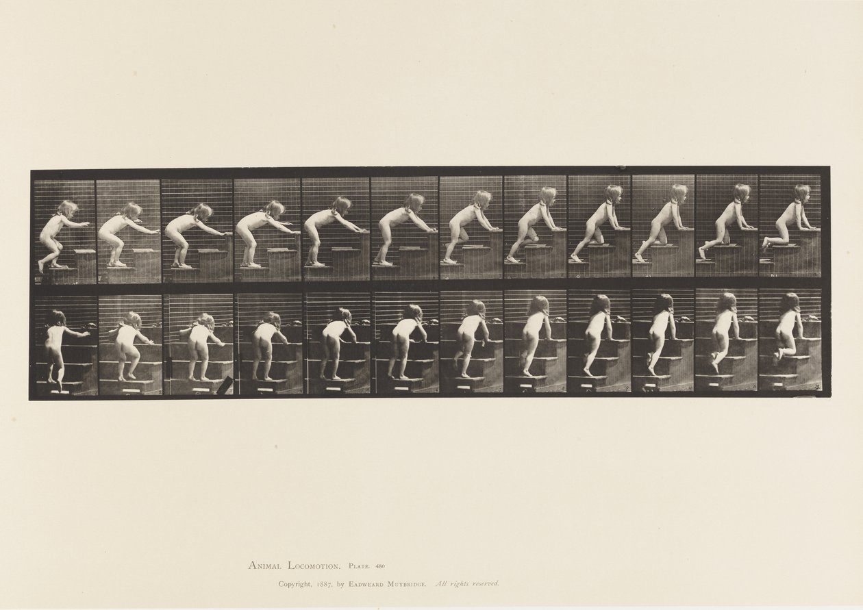 Plaat 480. Kind, Lopen en Kruipen op Trappen door Eadweard Muybridge