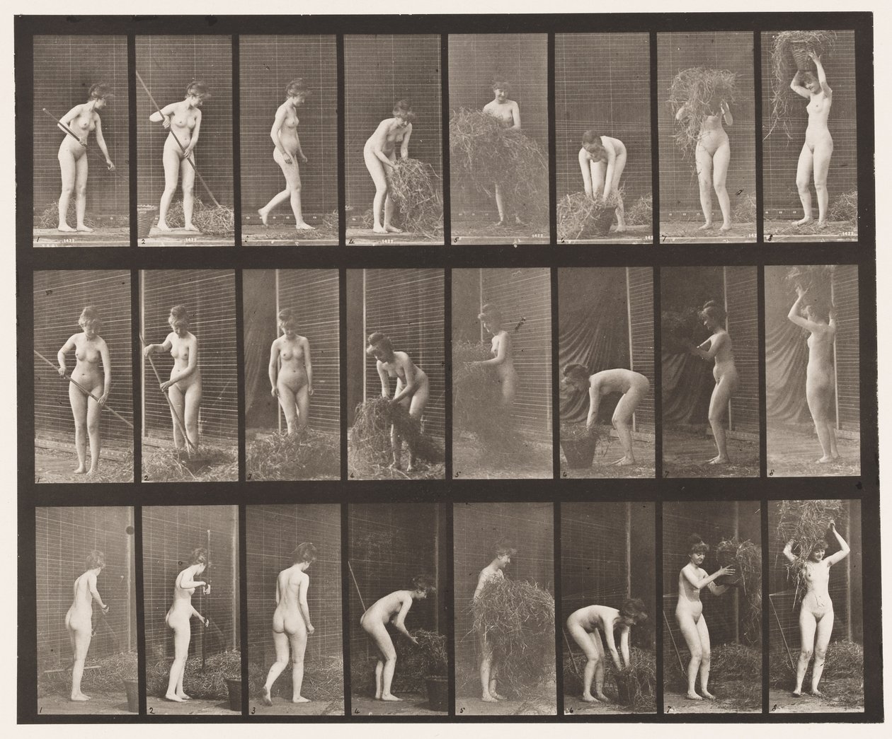 Hooien en inpakken door Eadweard Muybridge