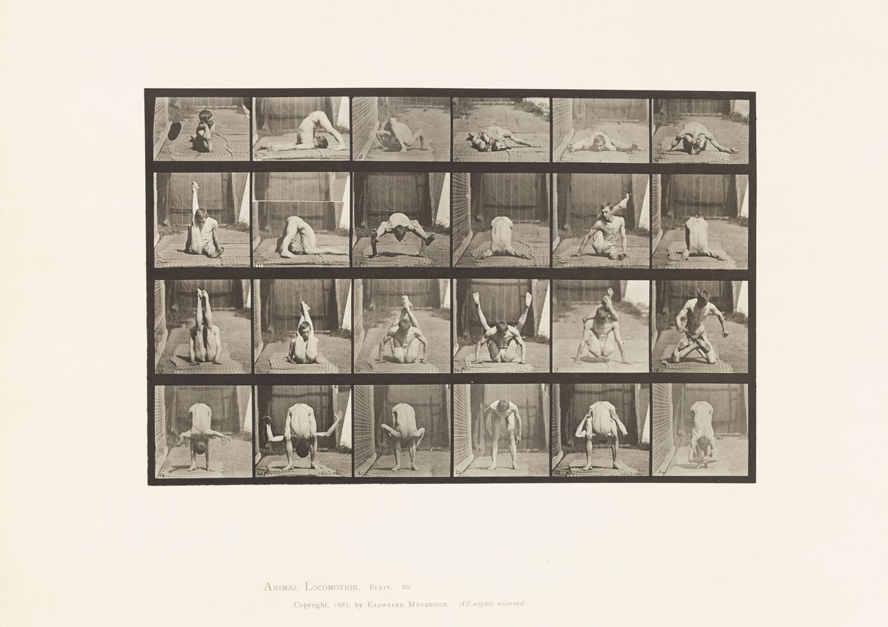 Plaat 511. Contorties op de grond door Eadweard Muybridge