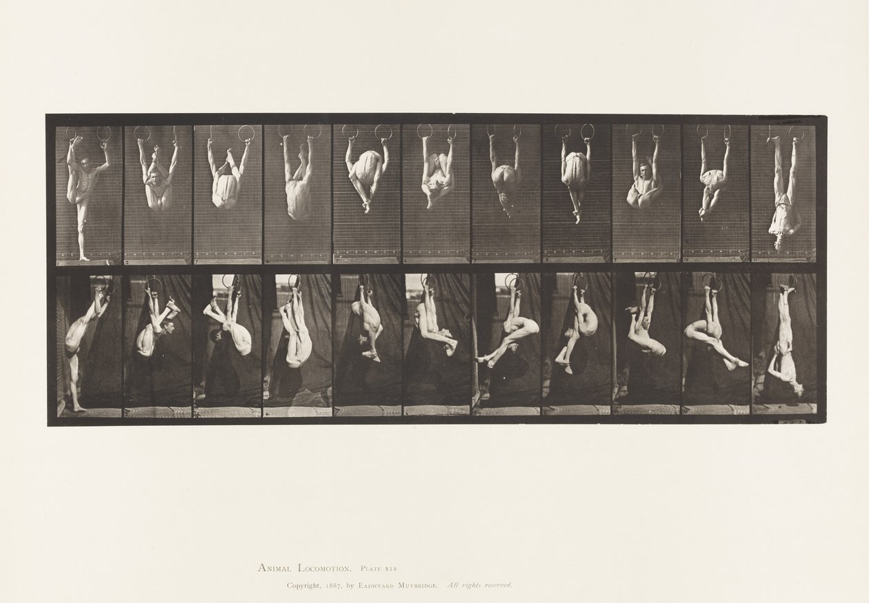 Plaat 512. Contorties aan ringen door Eadweard Muybridge