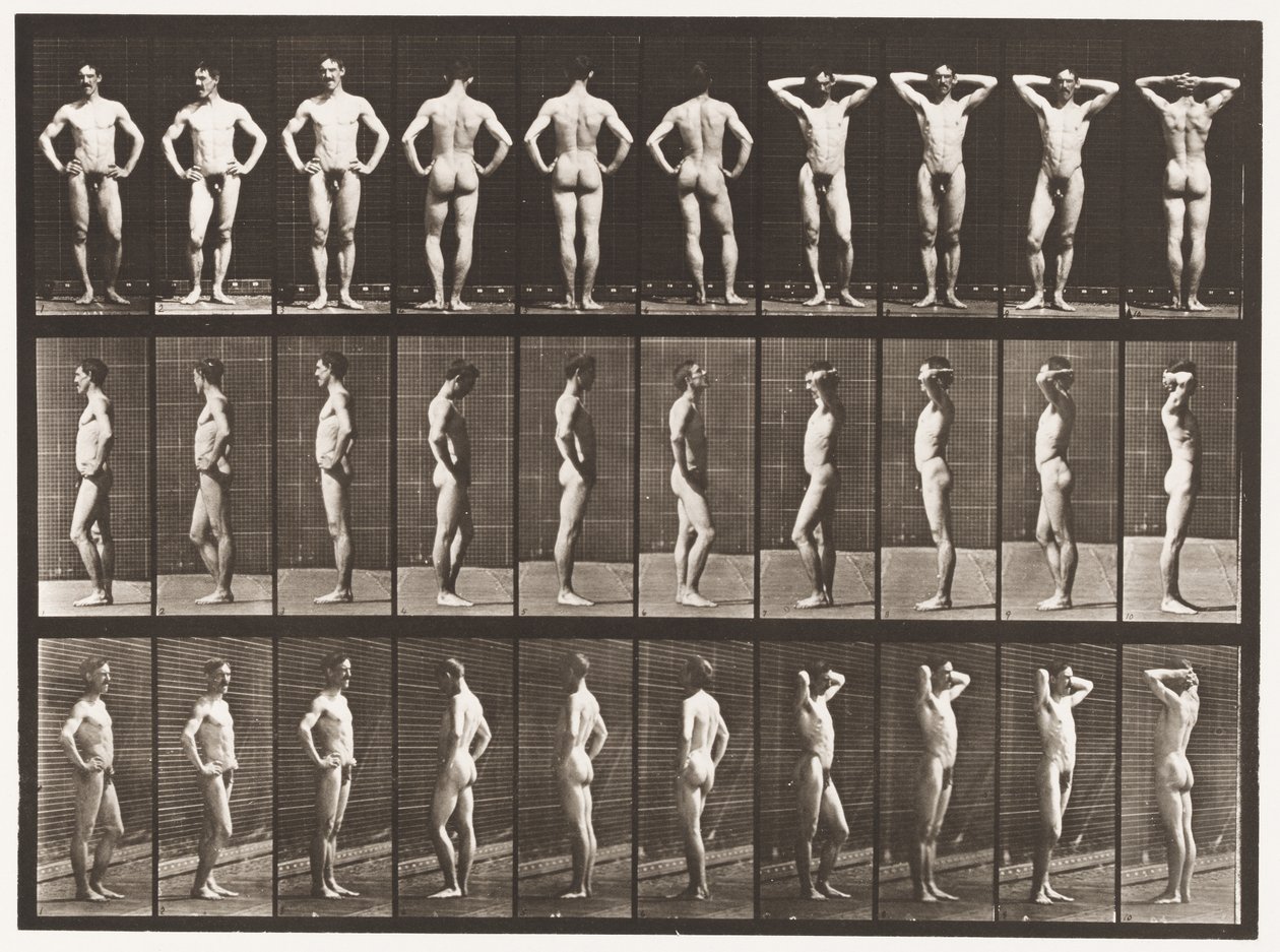 Plaat 530. Verschillende Houdingen door Eadweard Muybridge