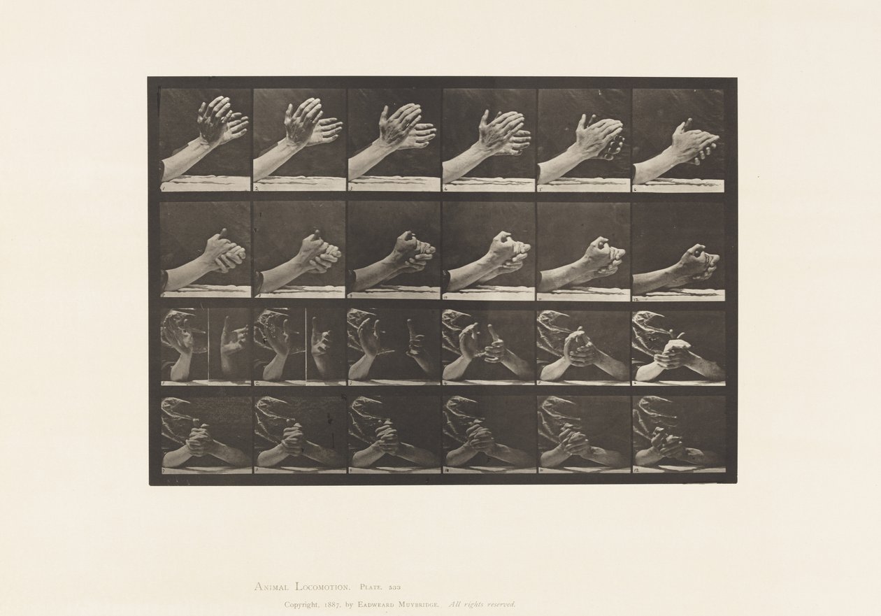 Beweging van de Hand; Handen Vouwen, 1885 door Eadweard Muybridge