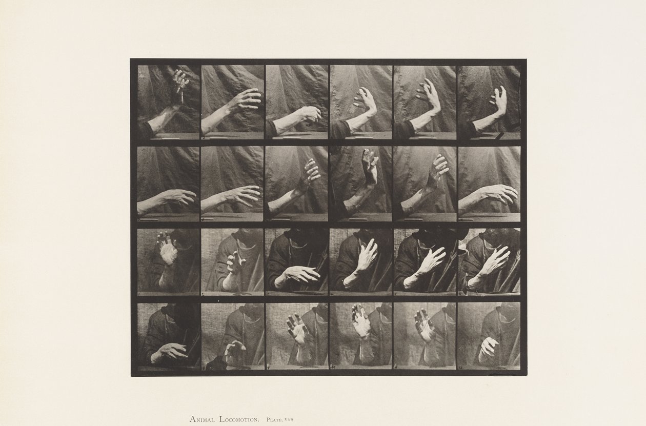 Beweging van de Hand; Tijd Slaan door Eadweard Muybridge