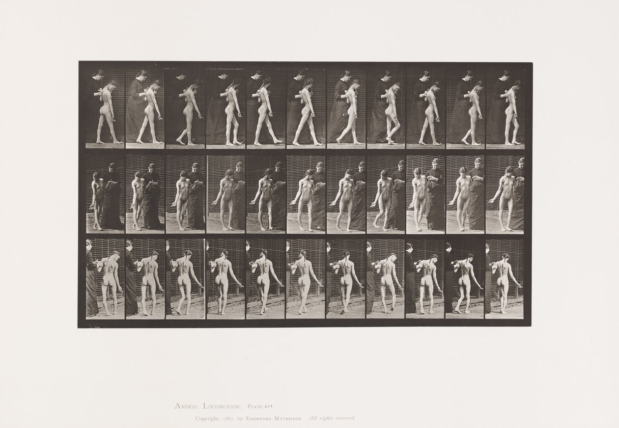 Plaat 541. Meervoudige Cerebro-Spinale Sclerose (Choreic); Wandelen door Eadweard Muybridge