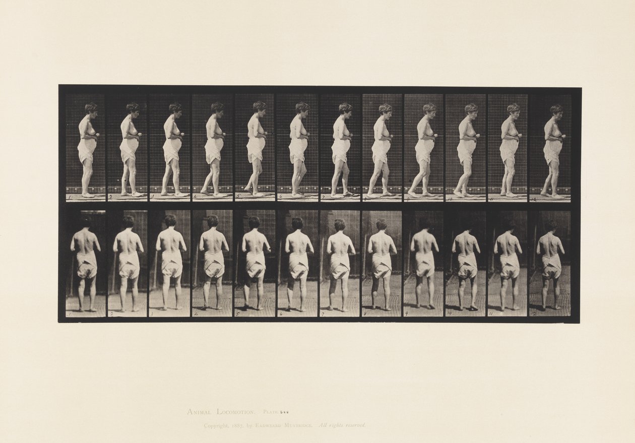 Plaat 542. Meervoudige Cerebro-Spinale Sclerose - Lopen door Eadweard Muybridge