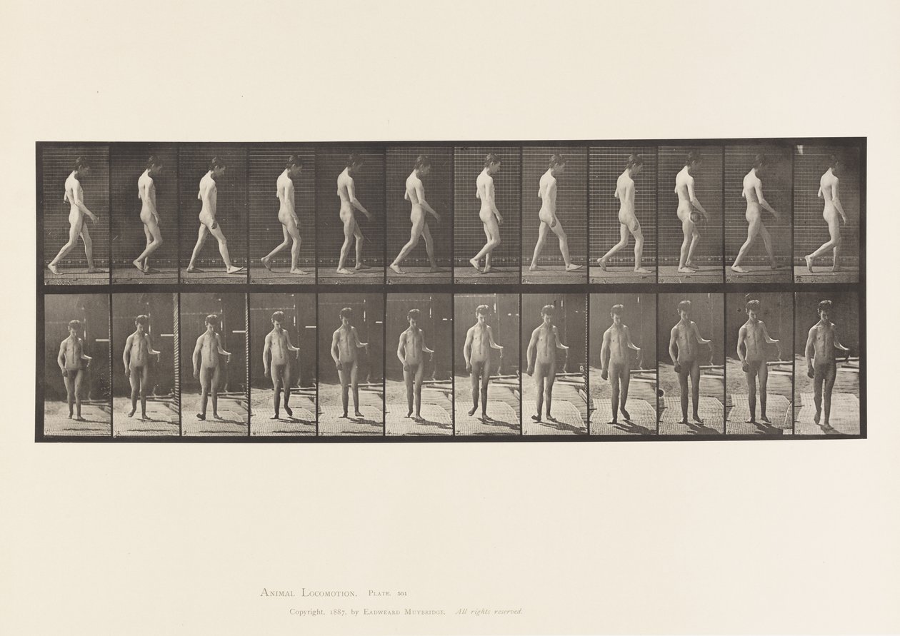 Epilepsie; lopen door Eadweard Muybridge