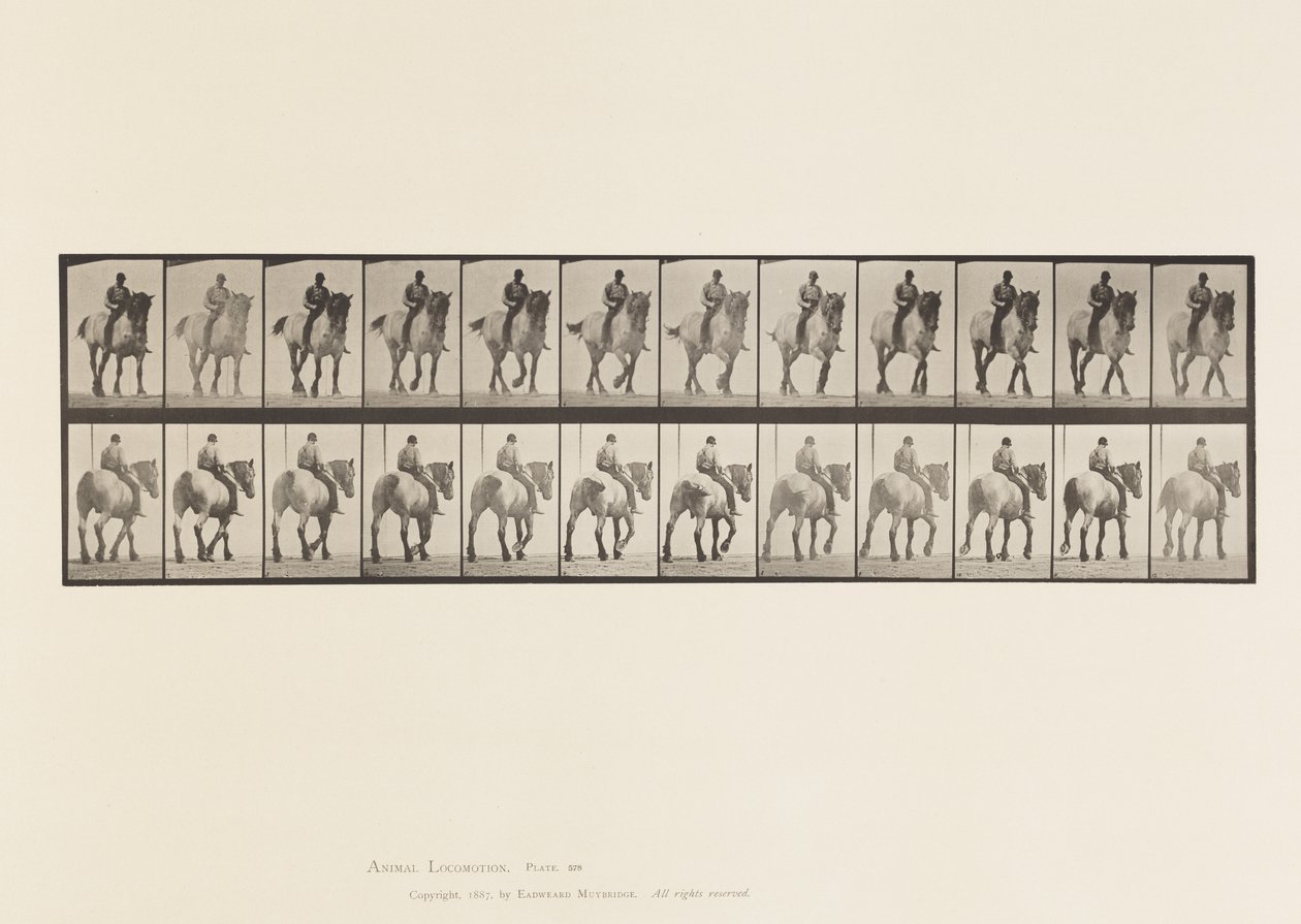 Plaat 578. Wandelen; Zonder Zadel; Donkergrijs Belgisch Paard Dusel door Eadweard Muybridge