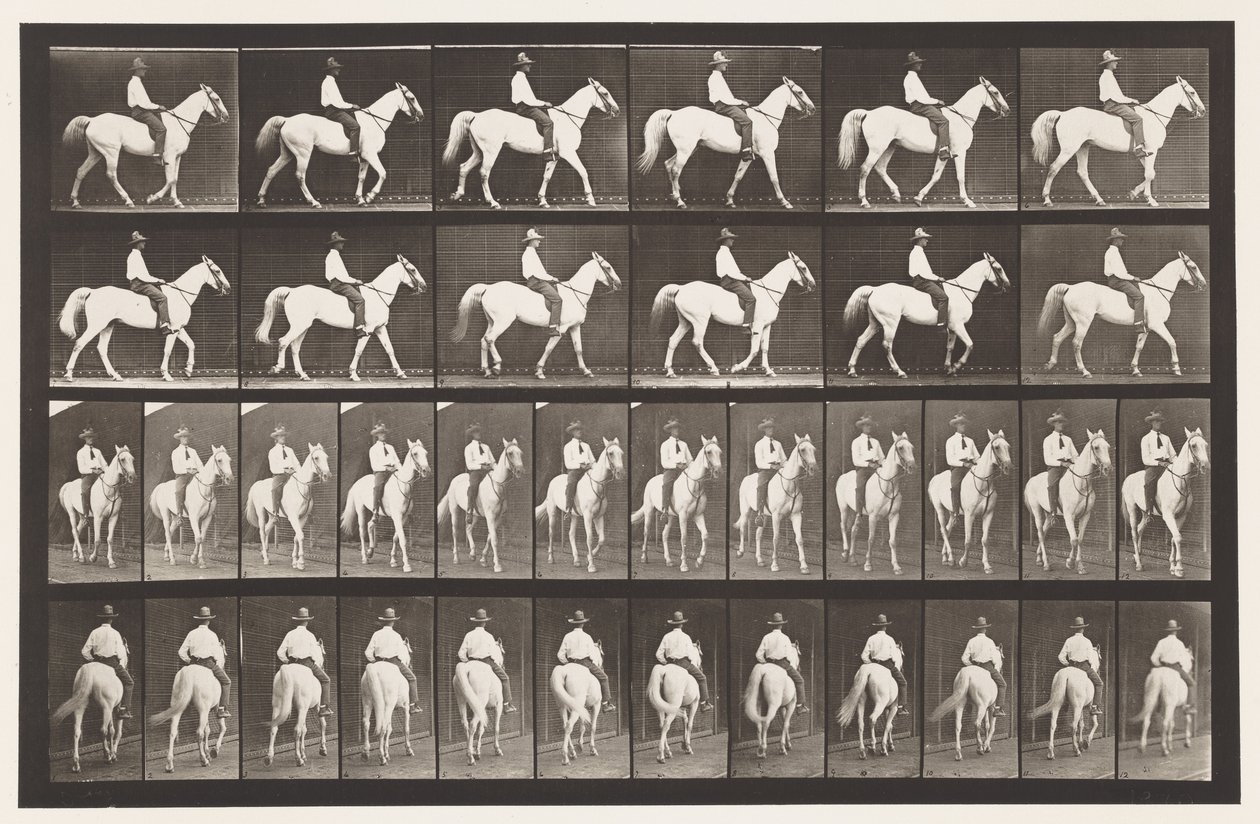 Lopen; Zadel; Wit Paard Elberon, 1885 door Eadweard Muybridge