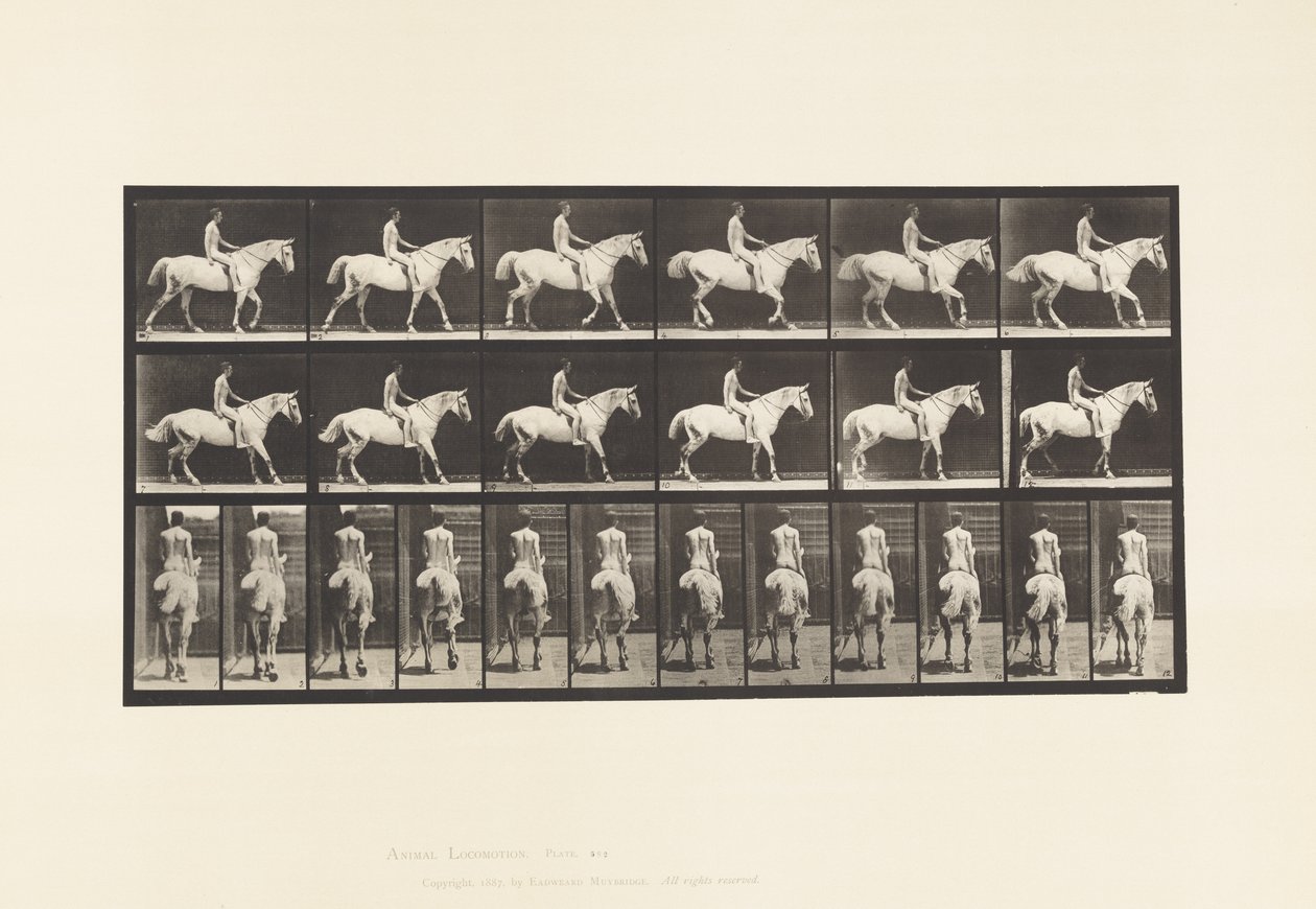 Plaat 582. Wandelen; Zadel; Ruiter, 43, Naakt; Lichtgrijs Paard Smith door Eadweard Muybridge