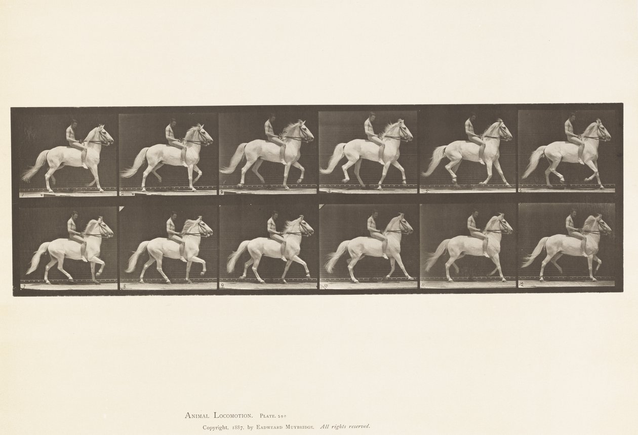 Plaat 590. Amblen door Eadweard Muybridge