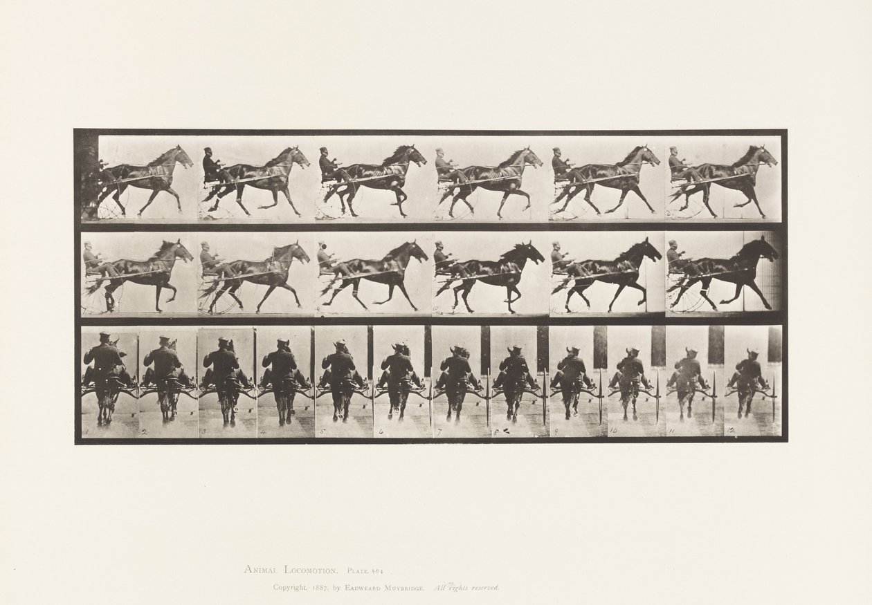 Plaat 594. Schommelen (Pacing): Sulky; Bruin Paard Pronto door Eadweard Muybridge