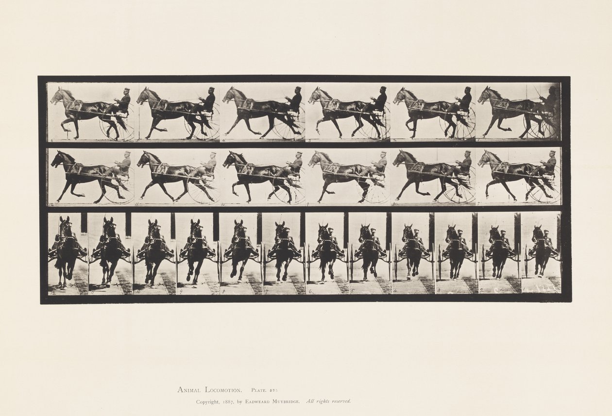 Plaat 595. Schommelen (Pacing): Sulky; Bruin Paard Pronto door Eadweard Muybridge