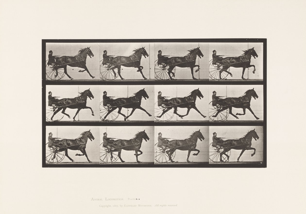Plaat 606. Draven; Sulky; Bruin Paard, Reuben door Eadweard Muybridge