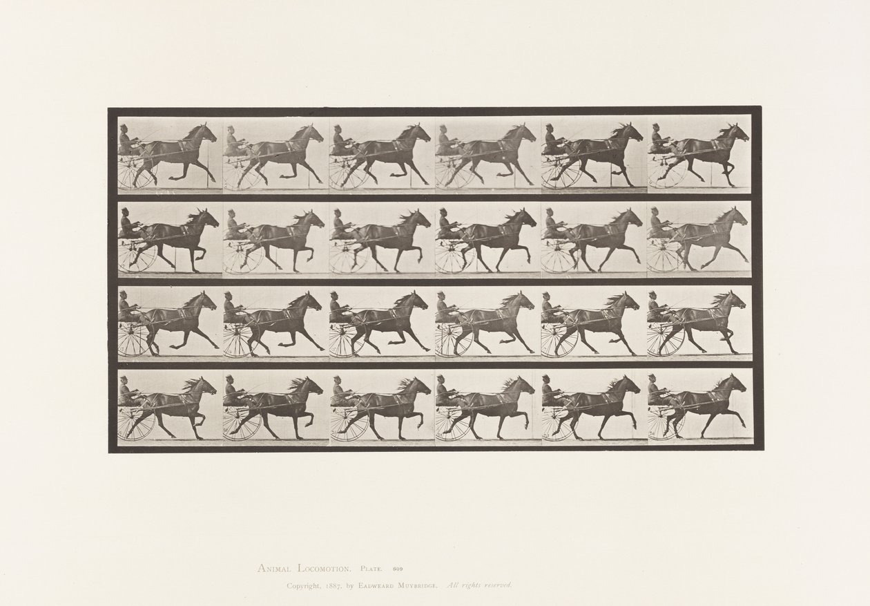 Plaat 609. Draven; Sulky; Bruine Merrie, Lizzie M. door Eadweard Muybridge