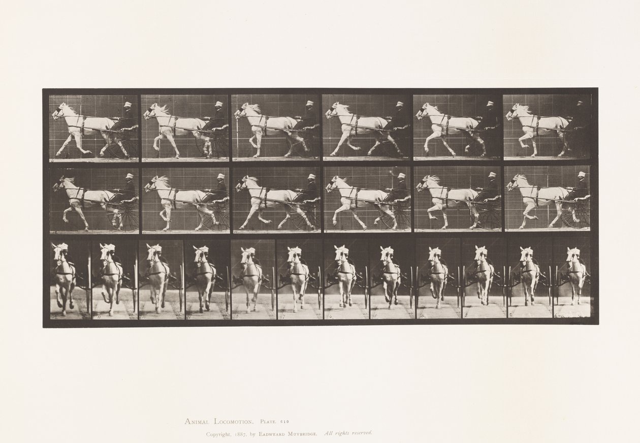 Plaat 610. Draven; Sulky; Grijze Merrie, Katydid door Eadweard Muybridge