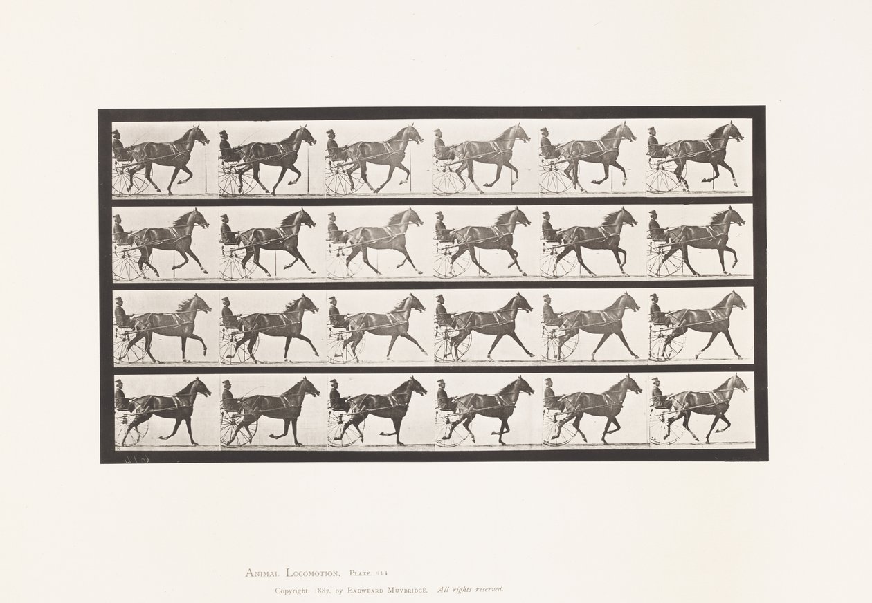 Plaat 614. Draven; Overgang naar Galop; Vosmerrie Flode Holden door Eadweard Muybridge