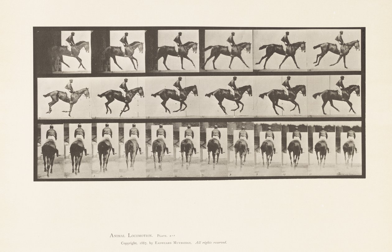 Plaat 620. Draf; Zadel; Volbloed Bruine Merrie Annie 6 door Eadweard Muybridge