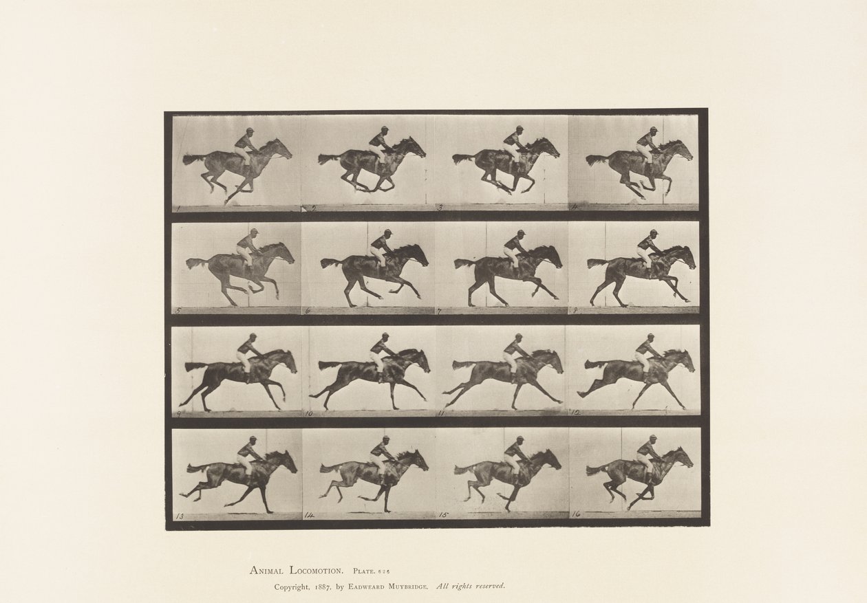 Plaat 626. Galop; Volbloed Bruine Merrie Annie G. door Eadweard Muybridge