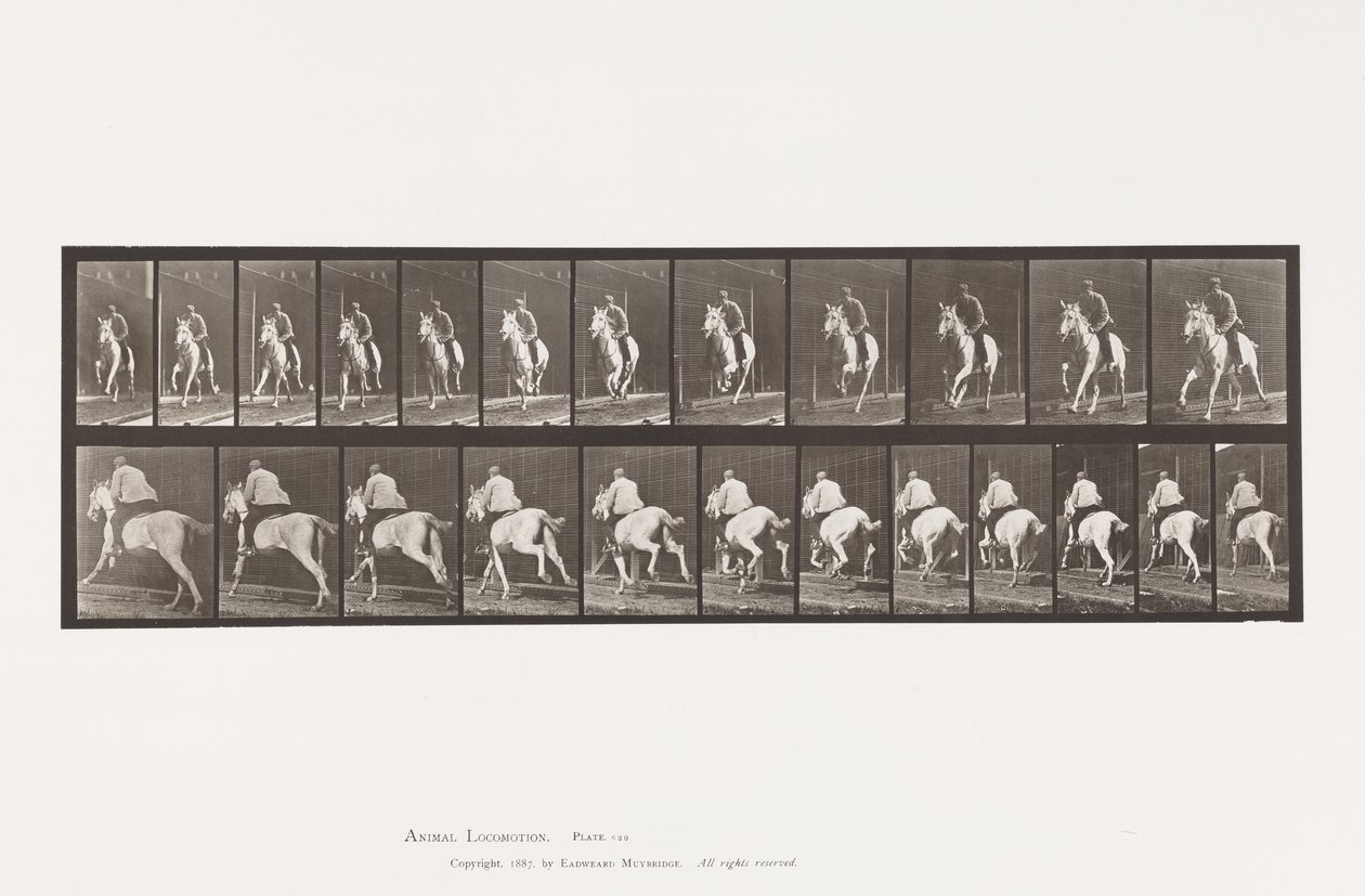 Plaat 630. Galop; Zadel; Grijze Merrie Pandora door Eadweard Muybridge