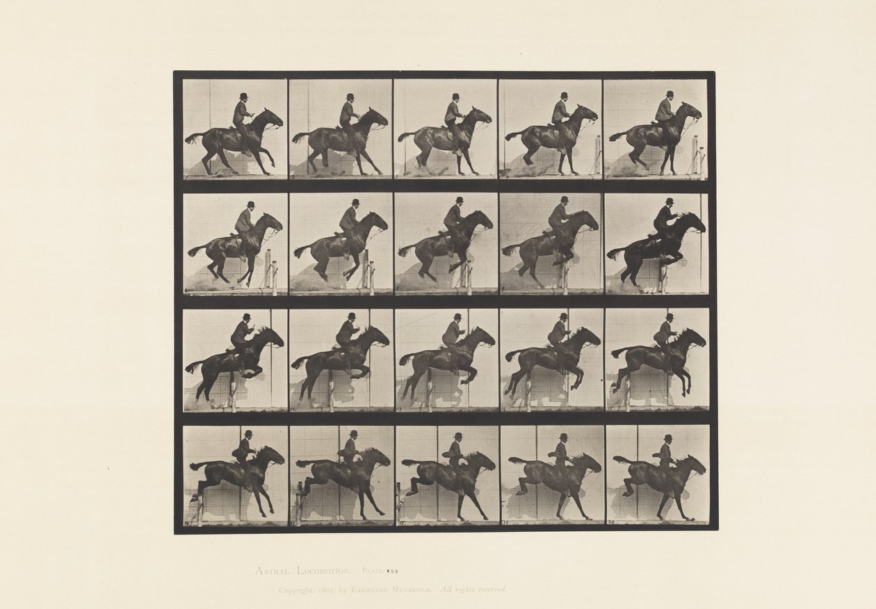 Plaat 638. Hordespringen; Zadel; Bruin Paard Daisy door Eadweard Muybridge