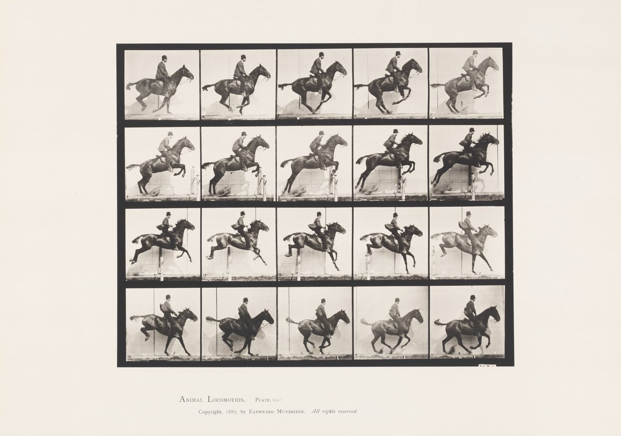 Plaat 640. Een Hordeloop; Zadel; Bruin Paard Daisy door Eadweard Muybridge