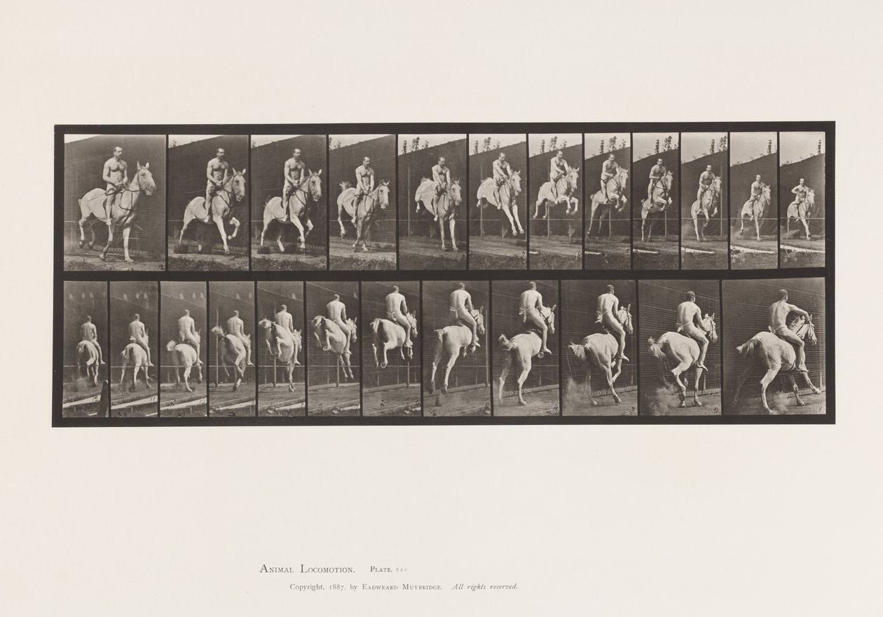 Plaat 646. Springen over een hindernis; Zadel; Ruiter, 105, Naakt;, 1885 door Eadweard Muybridge